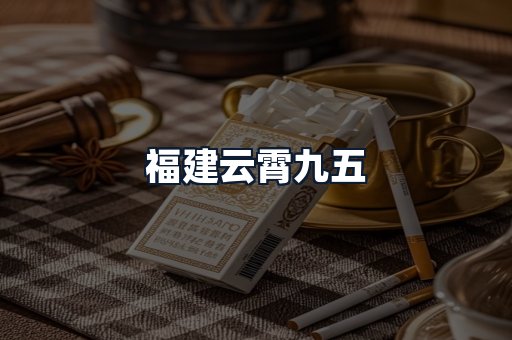 福建云霄九五